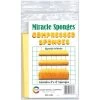 Color Wheel Miracle Sponges 3x4"
