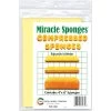 Color Wheel Miracle Sponges 4x6"