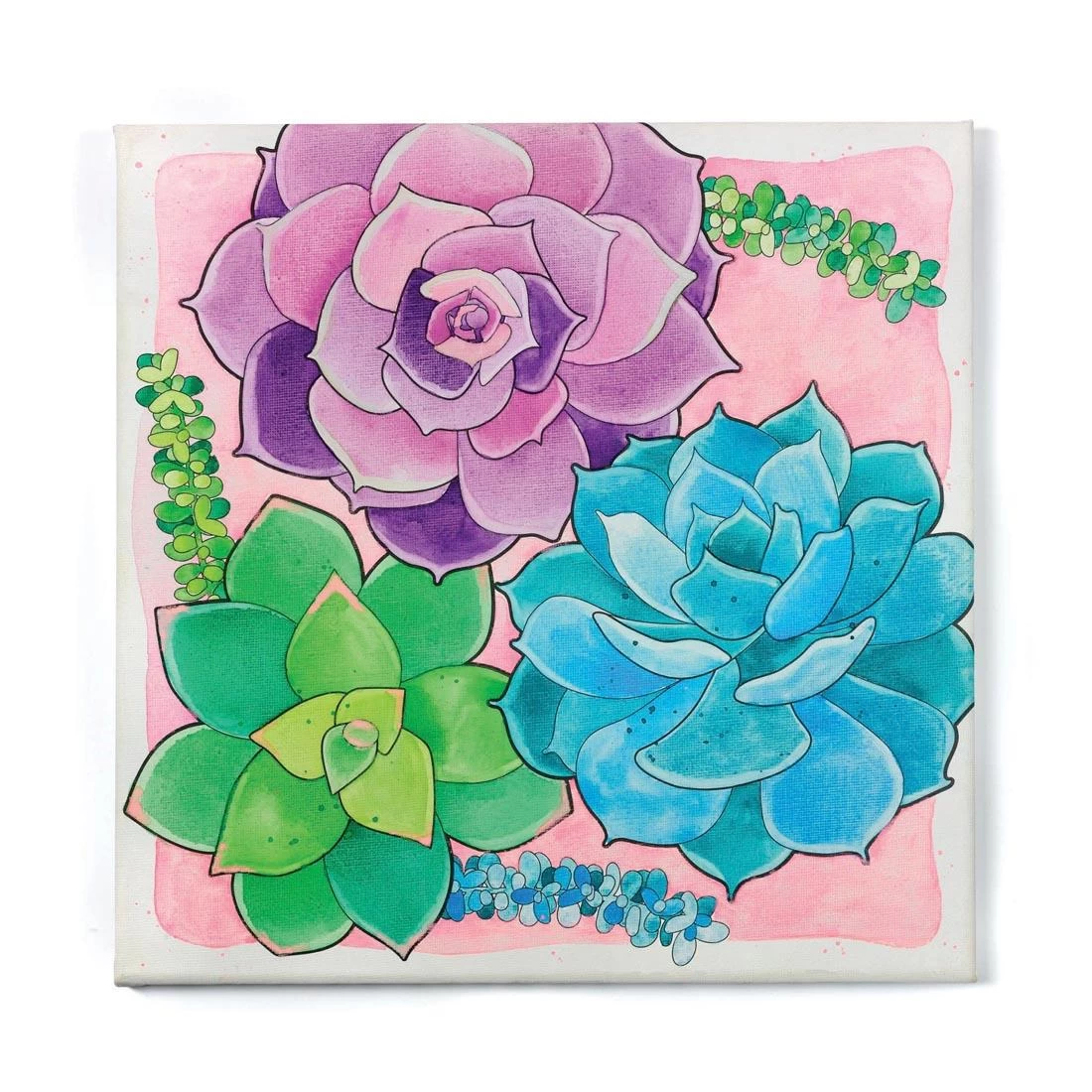 Faber-Castell Paint By Number Watercolor Set: Succulents 2 Faber-Castell Paint By Number Watercolor Set: Succulents - Image 2