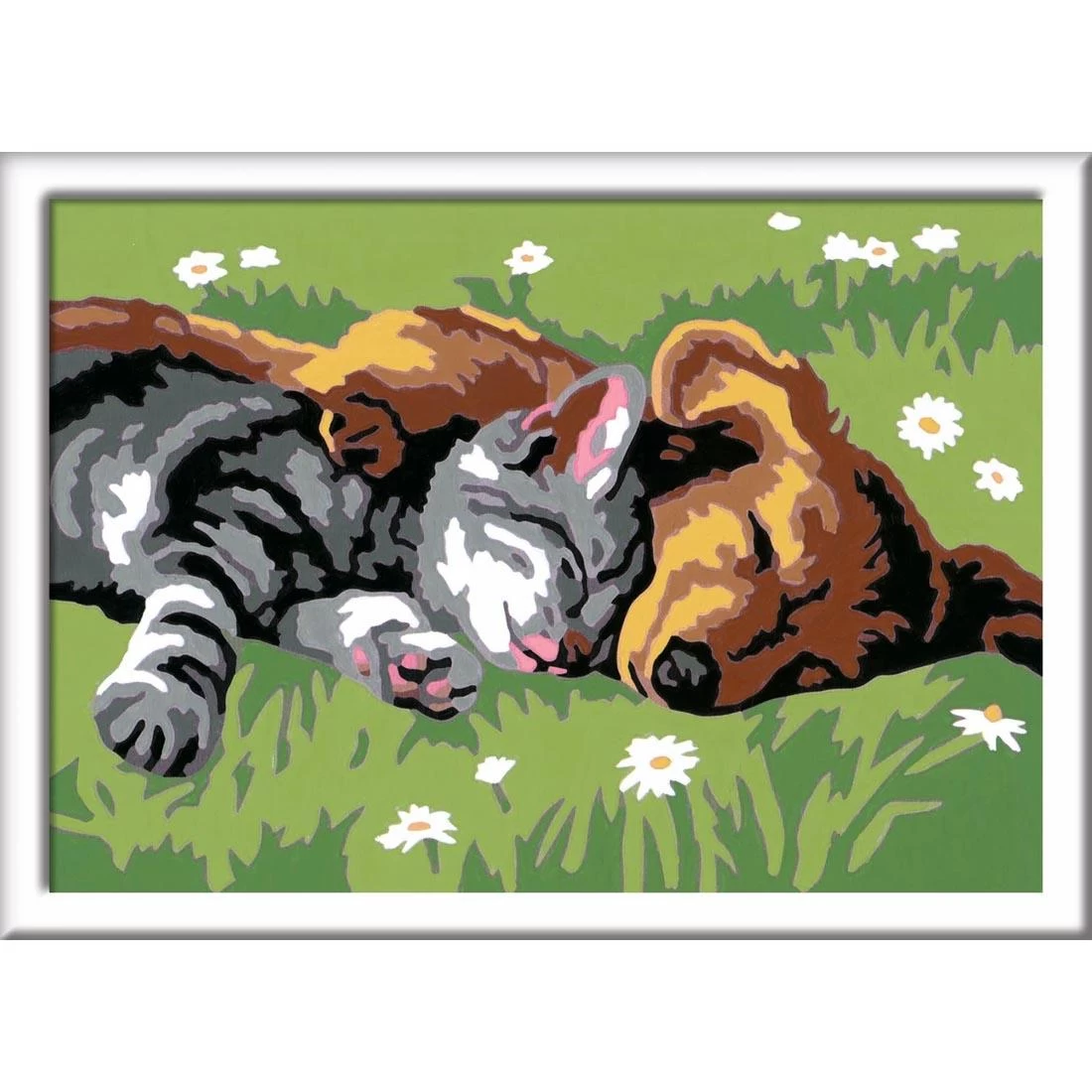Sleeping Cat And Dog Kids Paint By Number Set By Ravensburger 2 Sleeping Cat And Dog Kids Paint By Number Set By Ravensburger - Image 2