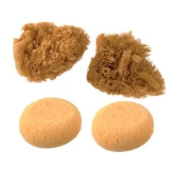 Natural & Synthetic Sponge Set