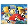 Royal & Langnickel Painting By Numbers Junior Large: Tropical Fish