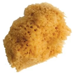 Wool Sponge Small