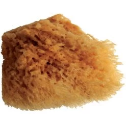 Wool Sponge Large