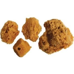 Combination Sponge Set