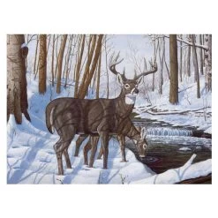 Royal & Langnickel Painting By Numbers Adult Large: Winter Bliss