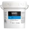 Liquitex Acrylic Gesso White Gallon
